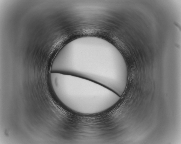 X0000098040640200804111347