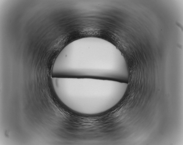 X0000098040643200804111347