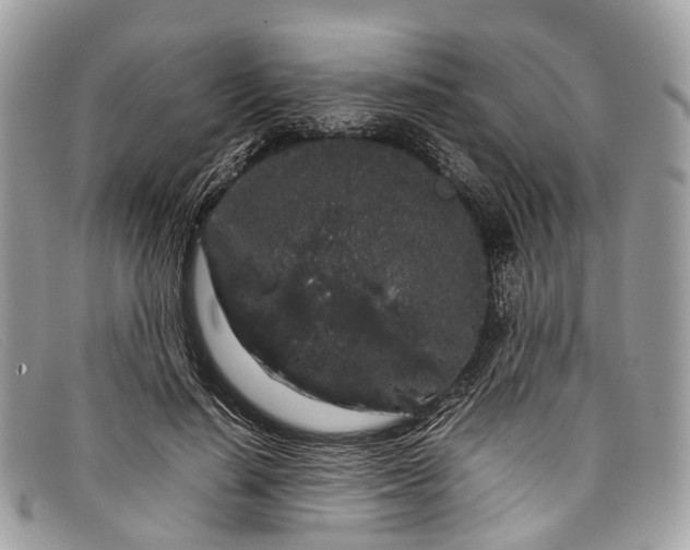 X0000098040644200804111347