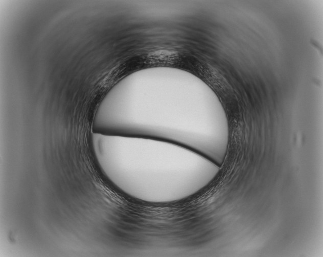 X0000098040649200804111347