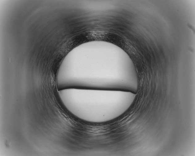 X0000098040651200804111347