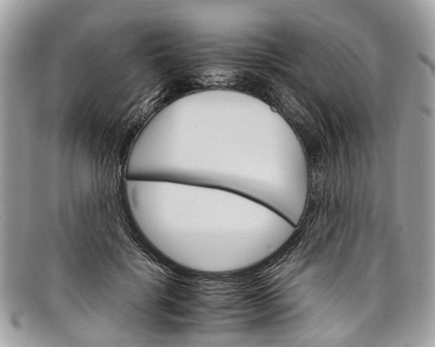 X0000098040652200804111347