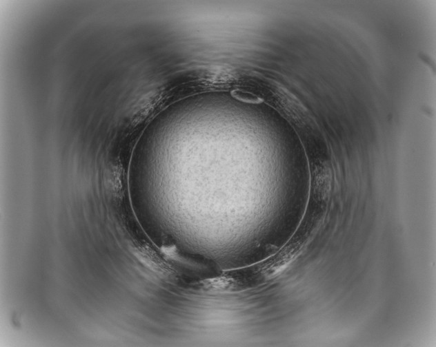 X0000098040654200804111347
