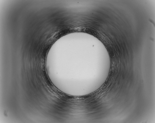 X0000098040656200804111347