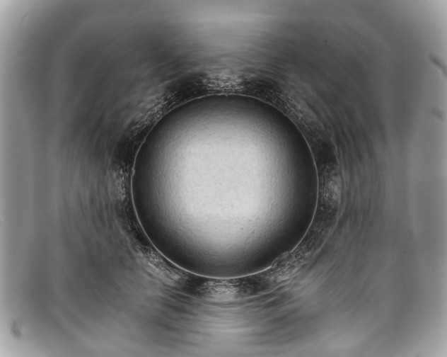 X0000098040658200804111348