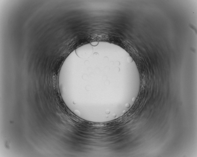 X0000098040659200804111348