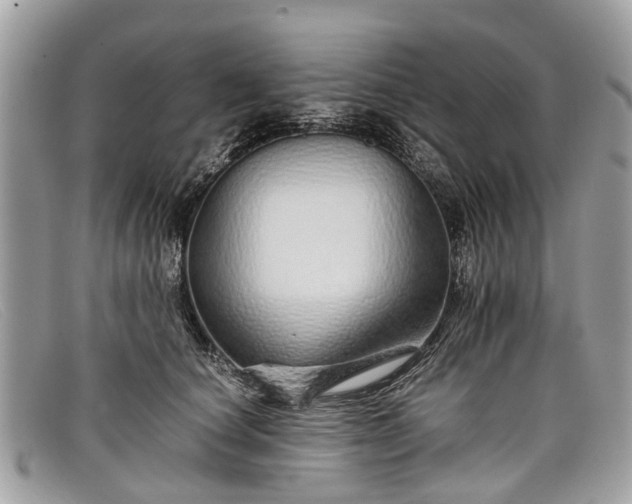 X0000098040660200804111348