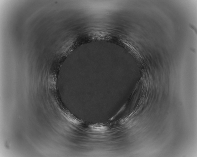X0000098040661200804111348