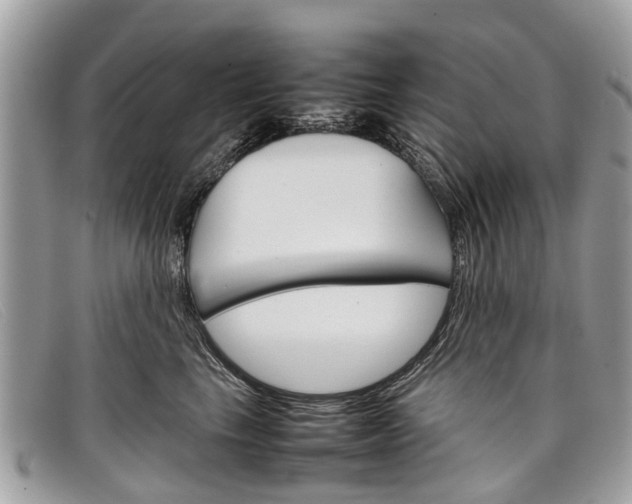X0000098040665200804111348