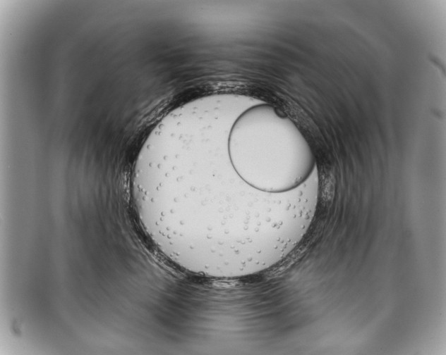 X0000098040666200804111348