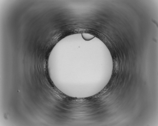 X0000098040668200804111348