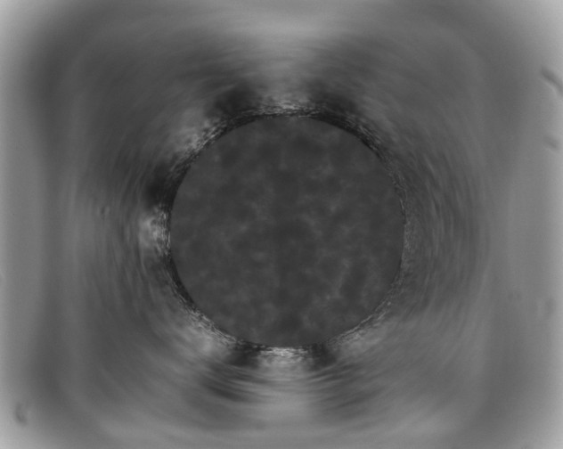 X0000098040672200804111348