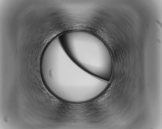 X0000098040673200804111347