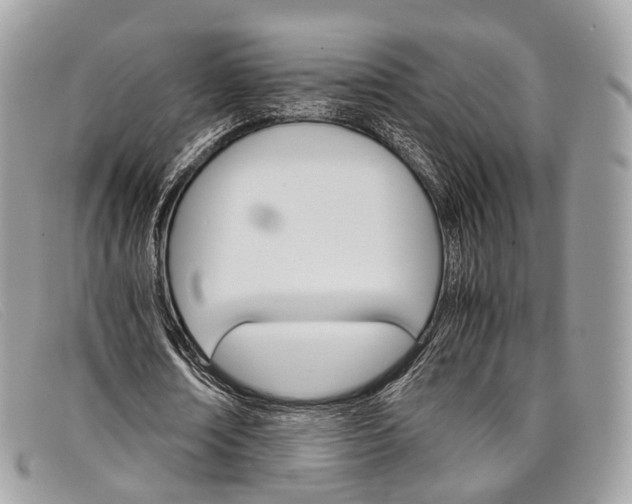 X0000098040674200804111347