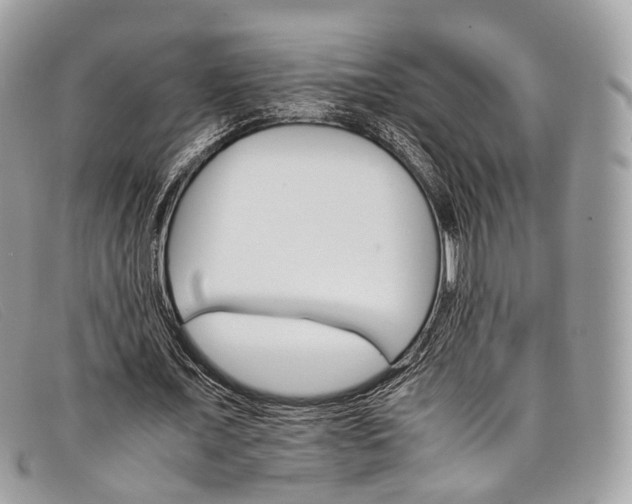 X0000098040675200804111347