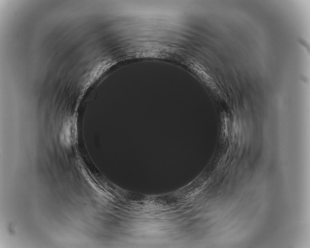 X0000098040678200804111347