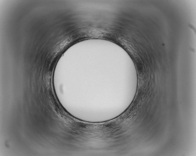 X0000098040679200804111347