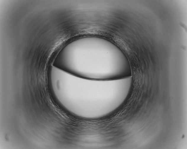 X0000098040680200804111347