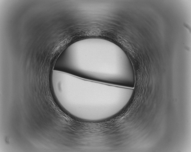 X0000098040681200804111347