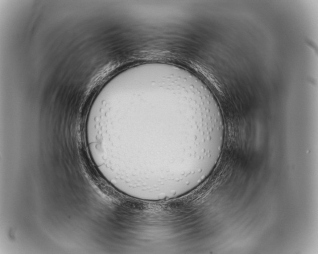 X0000098040682200804111347