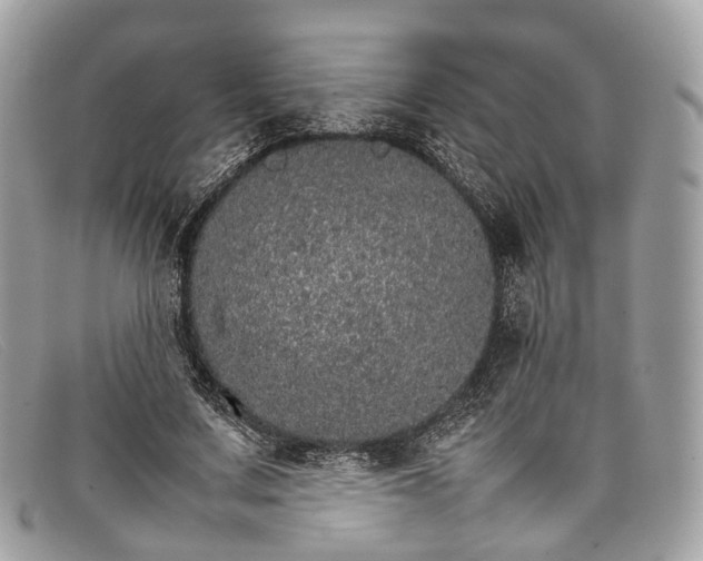 X0000098040683200804111347