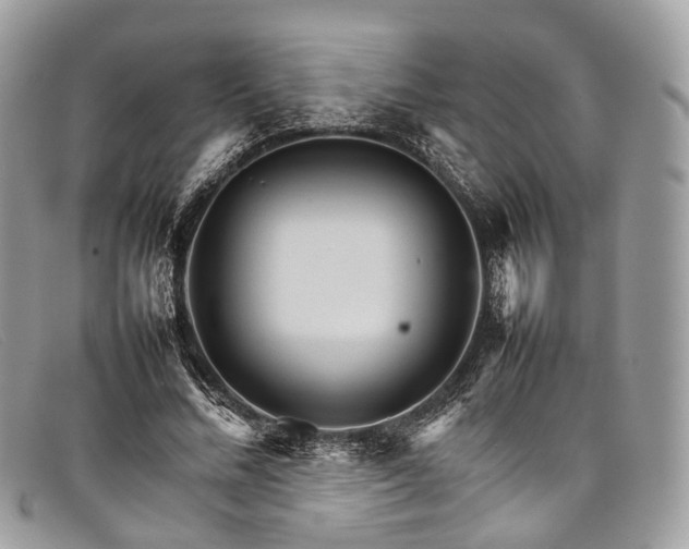 X0000098040684200804111347