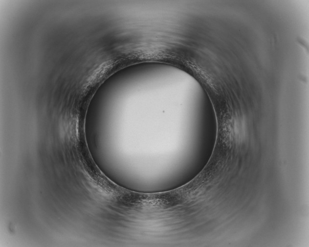 X0000098040686200804111347