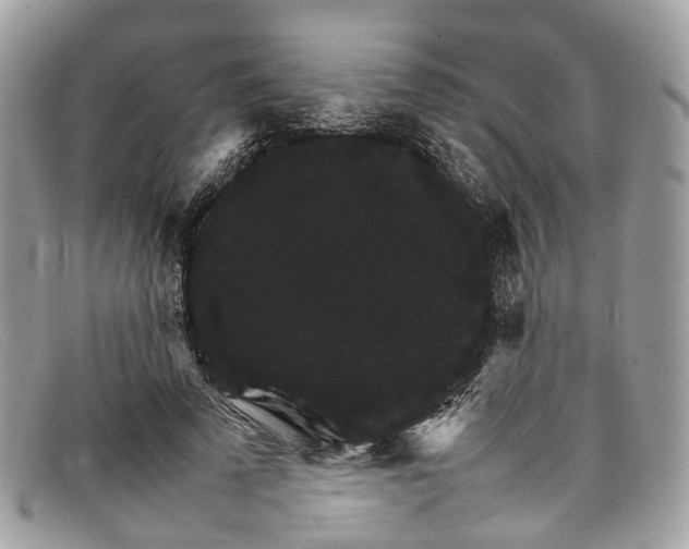 X0000098040689200804111347