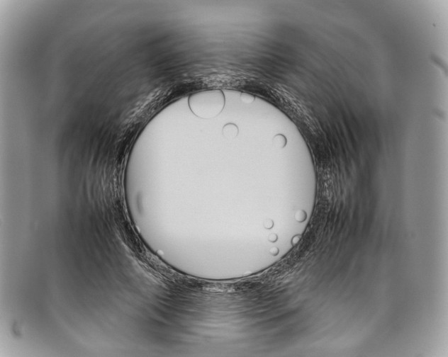 X0000098040690200804111347