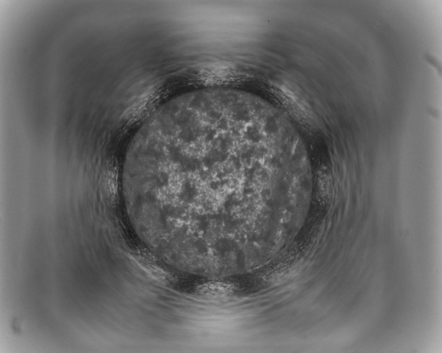X0000098040691200804111347
