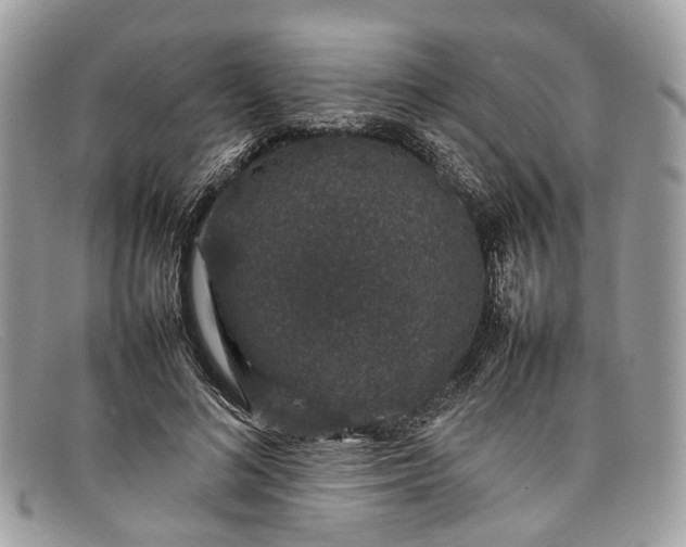 X0000098040692200804111347