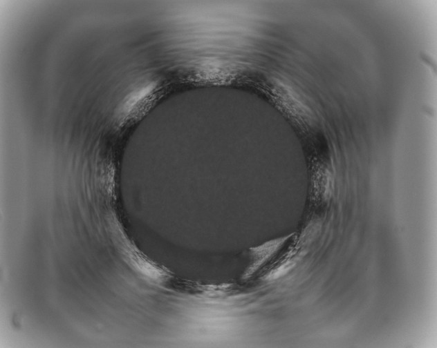X0000098040693200804111347