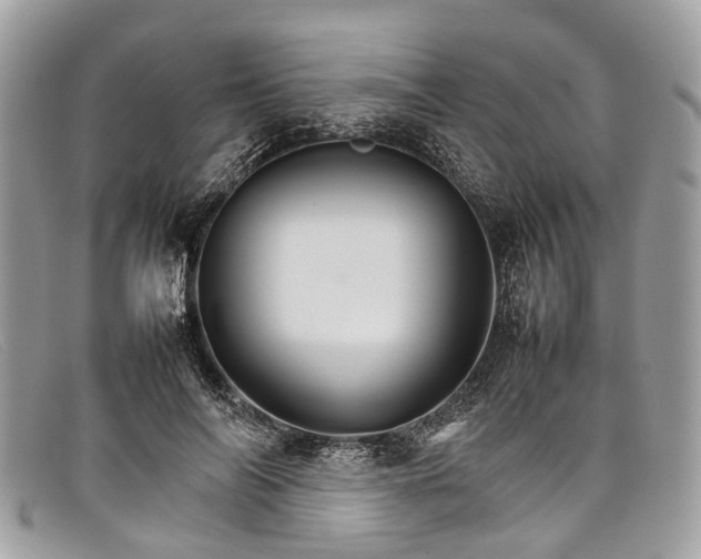 X0000098040694200804111347