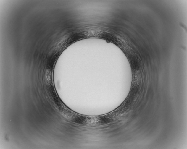 X0000098040695200804111347