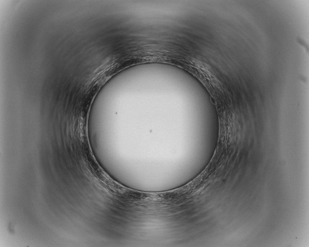 X0000098040696200804111347