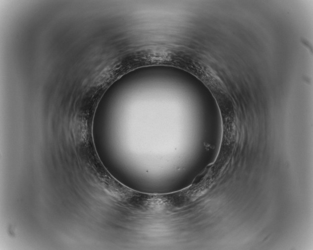 X0000098040704200804111346