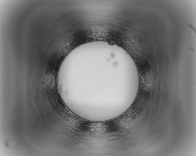 X0000098040705200804111346