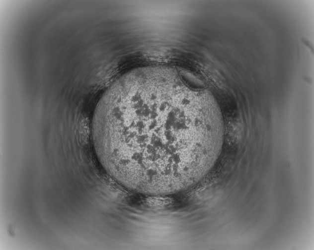 X0000098040707200804111346