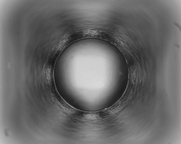 X0000098040708200804111346