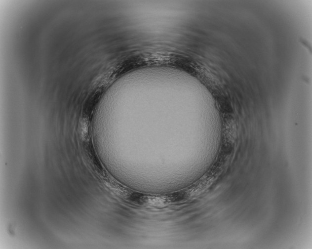 X0000098040709200804111346
