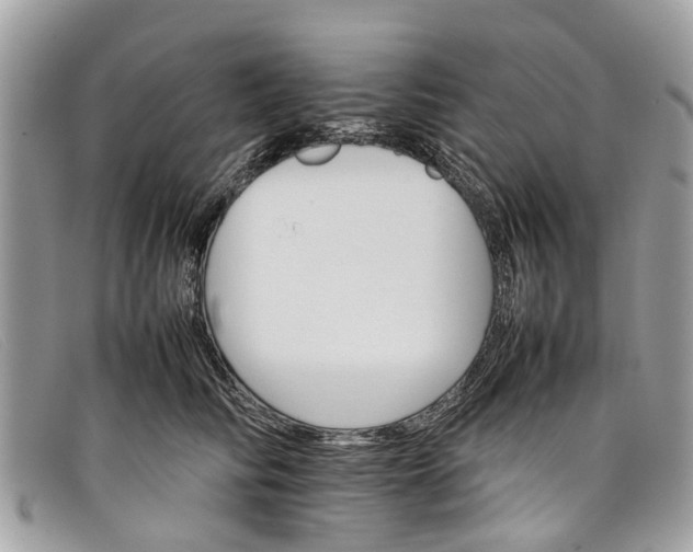 X0000098040710200804111346