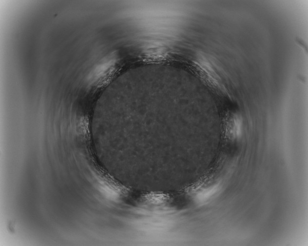 X0000098040711200804111346