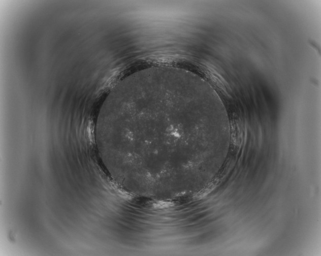 X0000098040718200804111346