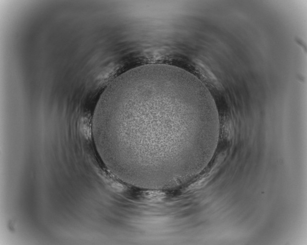X0000098040719200804111346
