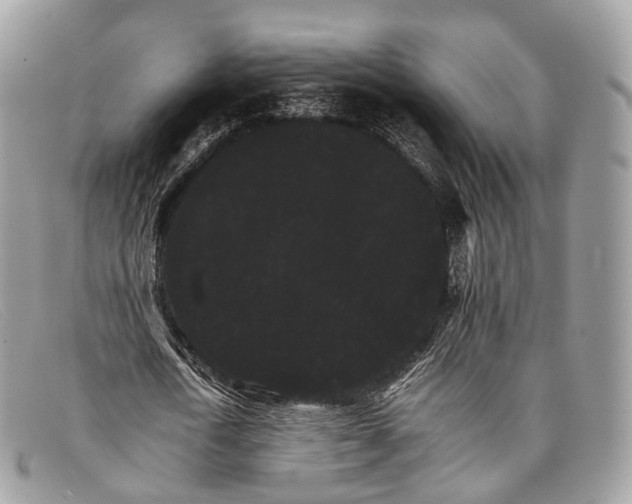 X0000098040722200804111345