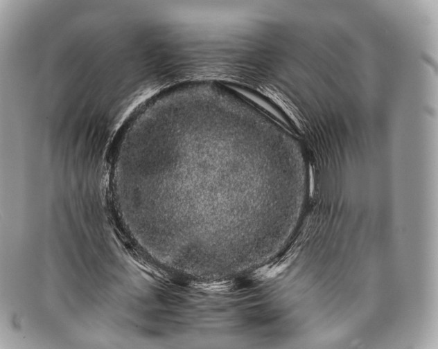 X0000098040723200804111345