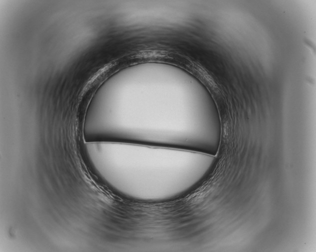 X0000098040724200804111345