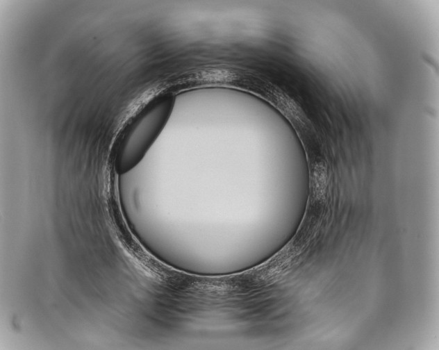 X0000098040726200804111345