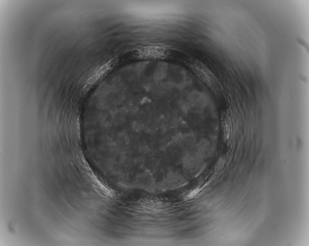 X0000098040729200804111345