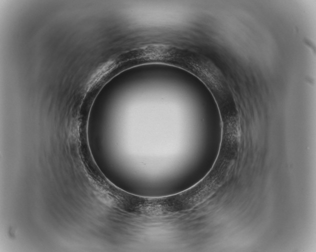X0000098040730200804111345